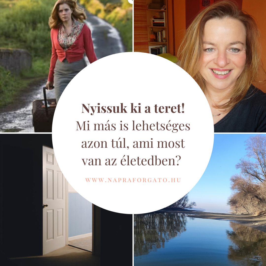 ternyitas web